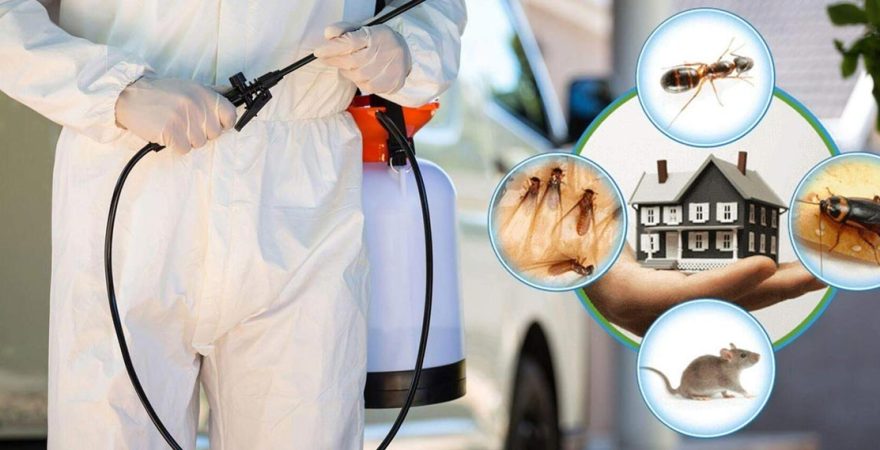 Karaisalı Böcek İlaçlama