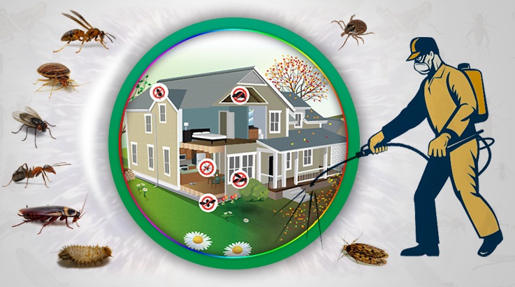 Karaisalı Böcek İlaçlama