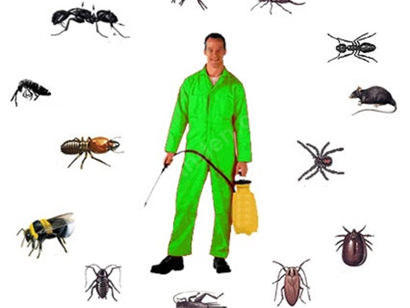 Karaisalı Böcek İlaçlama