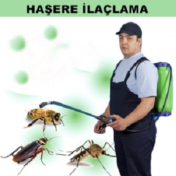 Karaisalı Böcek İlaçlama